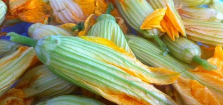 Kabak Çiçeği Dolması