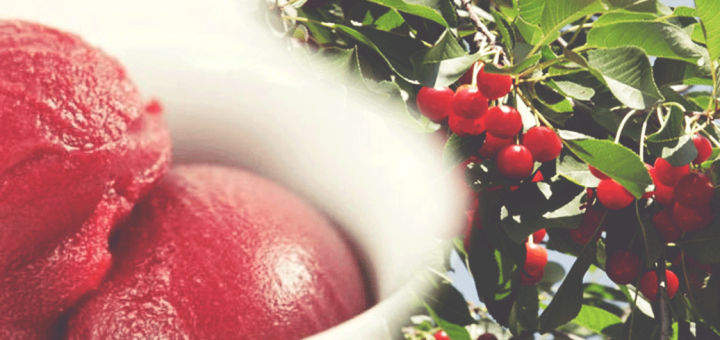 Vişne Sorbe (Granita)
