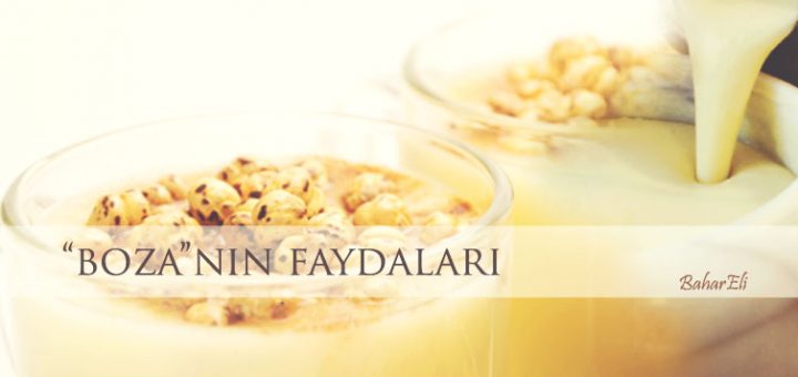 bozanın faydaları