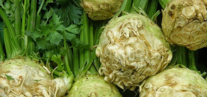 kerevizin faydaları