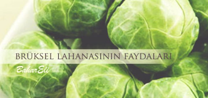 brüksel lahanasının faydaları