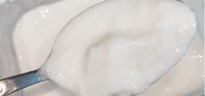 Nohutla yoğurt mayalama