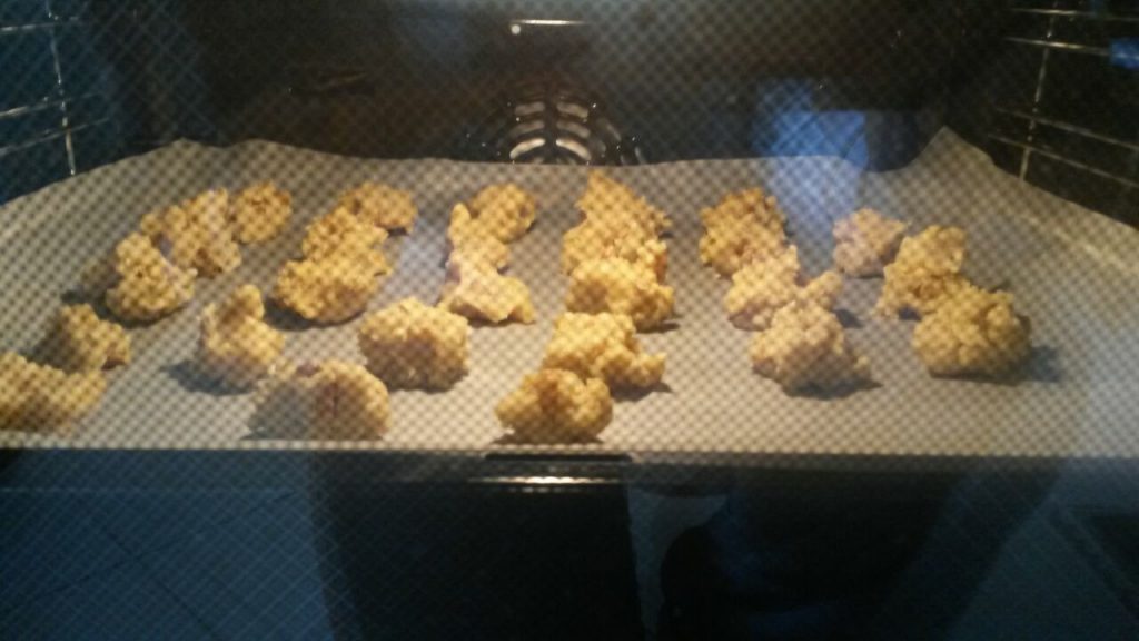 bahareli_kopar_at_kurabiye_6