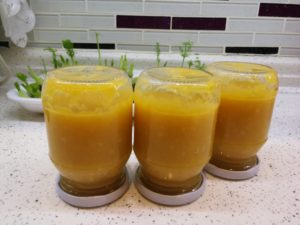 Pırasa yemeği kavanoz maması 7 ay üzeri