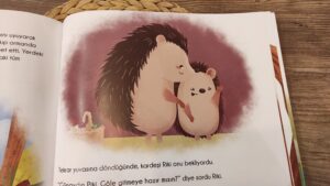 Kirpi Piki'nin En Güzel Günü - Ren Çocuk