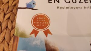 Kirpi Piki'nin En Güzel Günü - Ren Çocuk