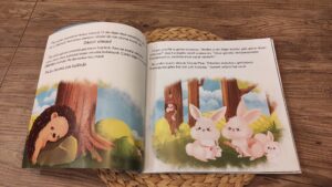 Kirpi Piki'nin En Güzel Günü Ren Çocuk