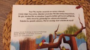 Kirpi Piki'nin En Güzel Günü - Ren Çocuk