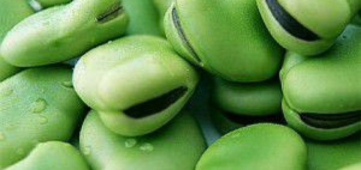 baklanın faydaları