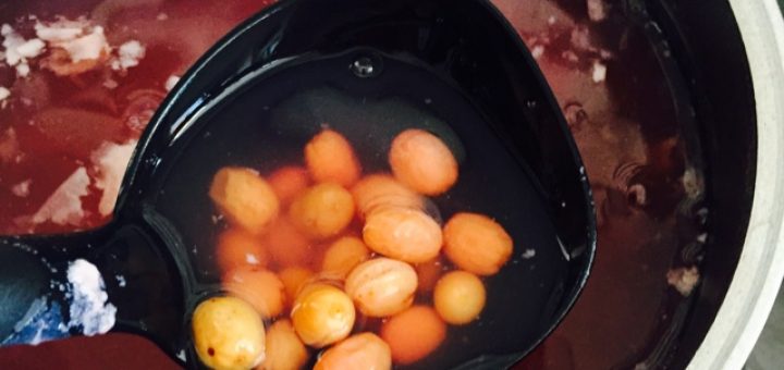 kızılcık şerbeti