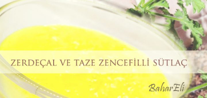 zerdeçal ve taze zencefilli sütlaç