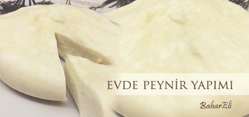 Evde Peynir Yapımı Bahareli