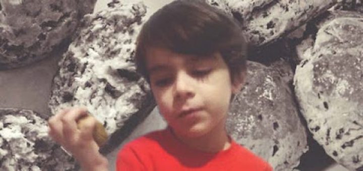 Ispanaklı keçi yoğurtlu poğaça