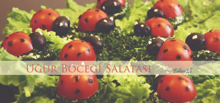 Uğur böceği salatası