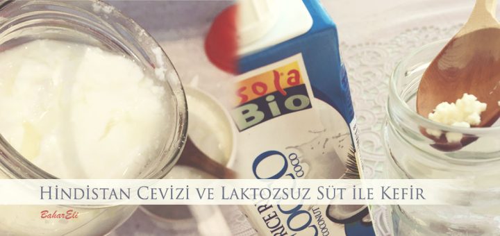 Hindistancevizi ve Laktozsuz Süt ile Kefir Yapımı