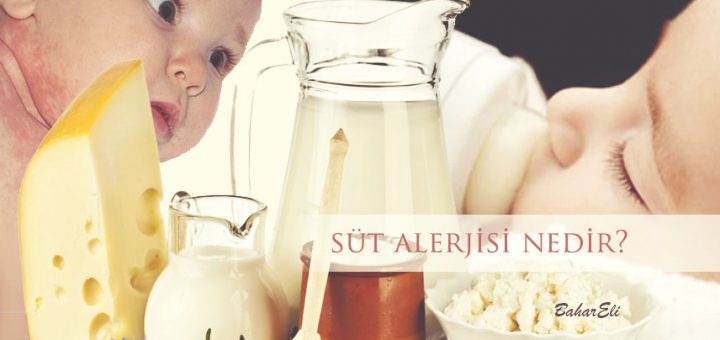 süt alerjisi nedir