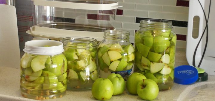 Elma Sirkesi Yapımı