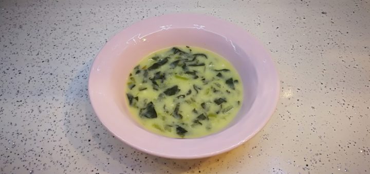 Terbiyeli Ispanak Çorbası